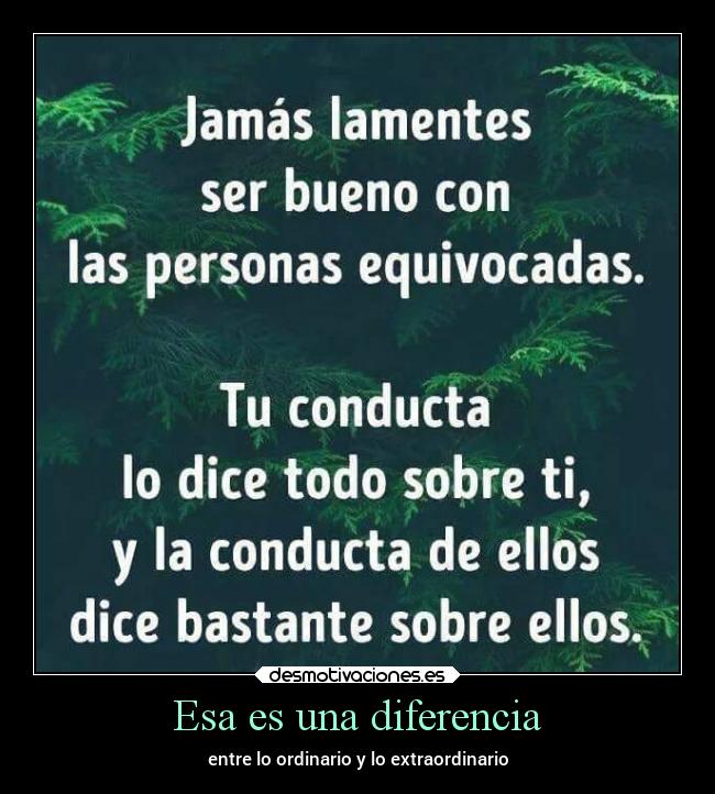 Esa es una diferencia | Desmotivaciones